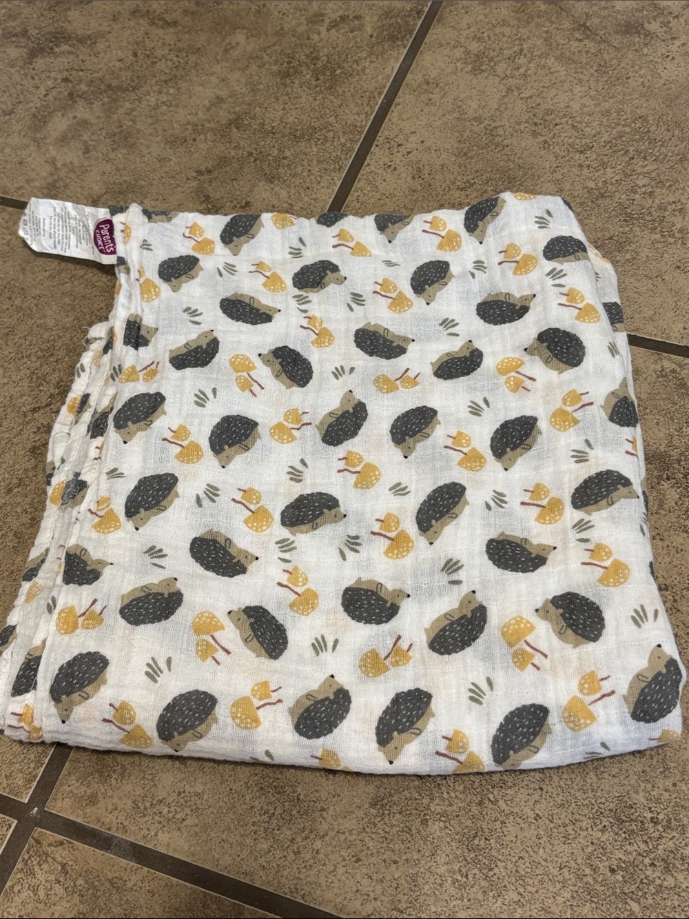 Parent’s Choice 47x47 inch Hedgehog Mushroom Print 100% Cotton Blanket